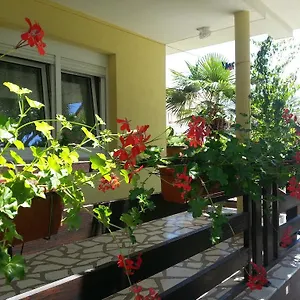 Perunika Zadar